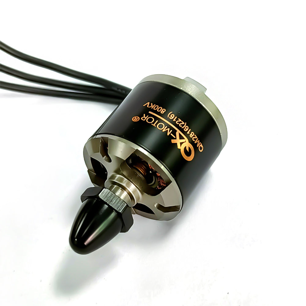 QX-Motor QM2816 2216 1100KV 800KV Brushless Motor 3S 4S Performance CW CCW for Remote control toy parts